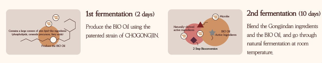 CHOGONGJIN Geumsul Jin Emulsion 120ml-2